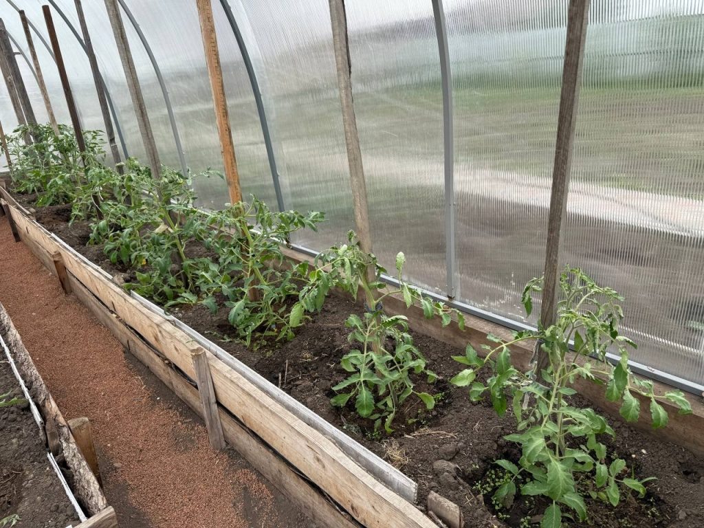 Фото: Борис Сонин