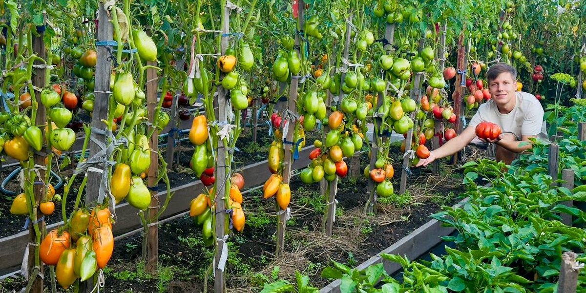 Фотография из архива Бориса Сонина