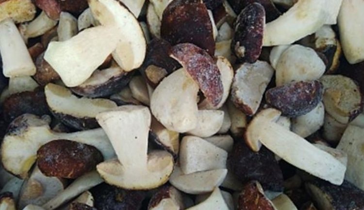    Фото: Россельхознадзор по Кировской области, Удмуртской Республике и Пермскому краю