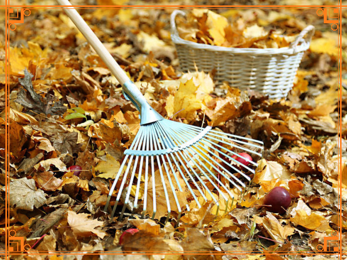 Фото из интернета. Что делать с листвой в саду
