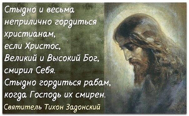 Источник: Яндекс. Картинки