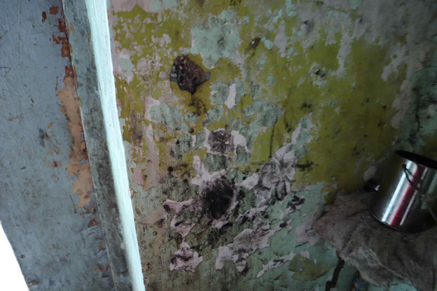    В доме на Северном кольце теплотрасса превратила подвал в парилку