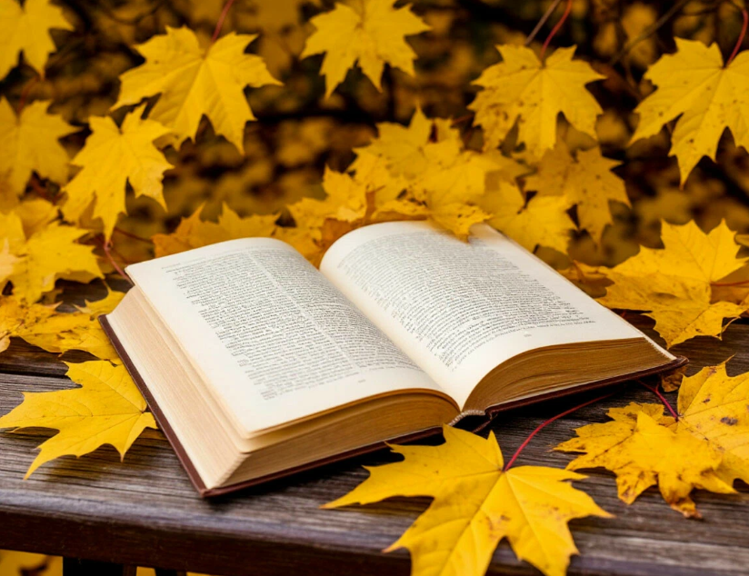 Книжный сентябрь