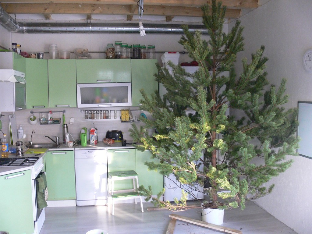 В этом году такого фото нет :(