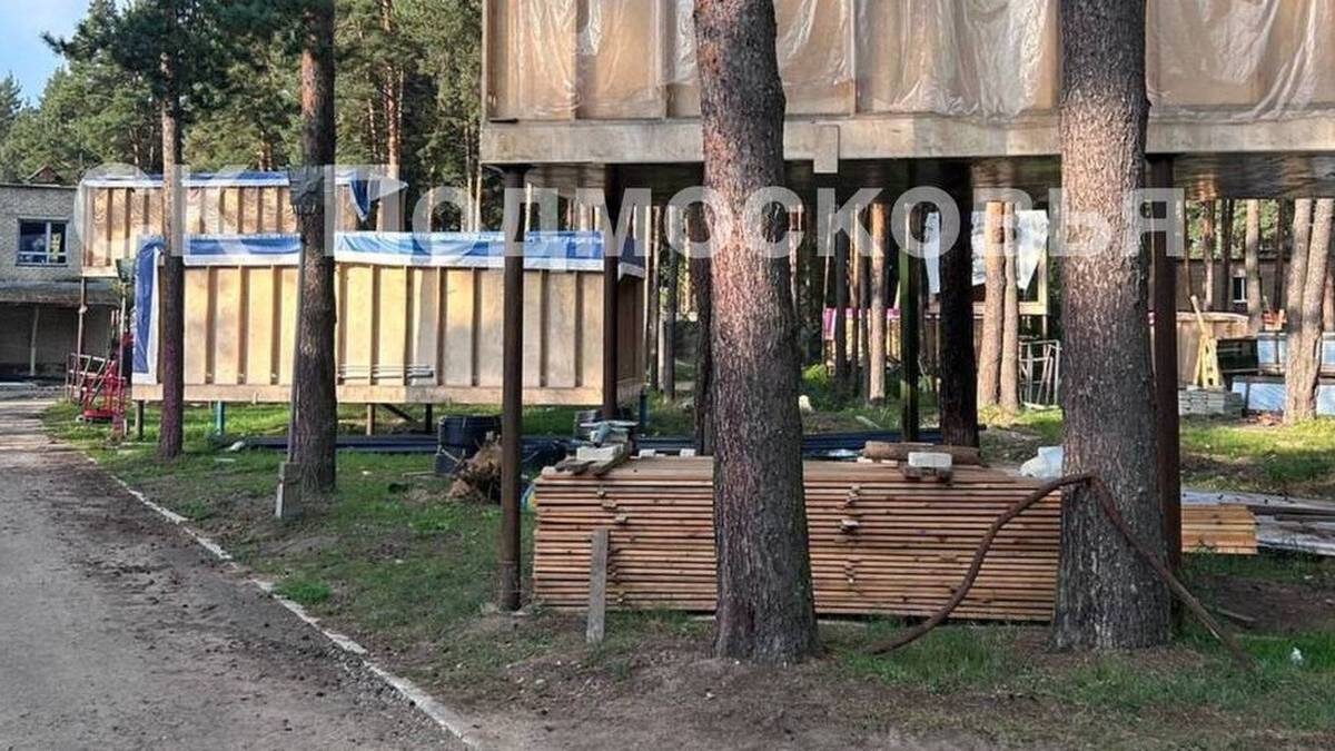    Фото: пресс-служба Следственного комитета России по Московской области / Telegram