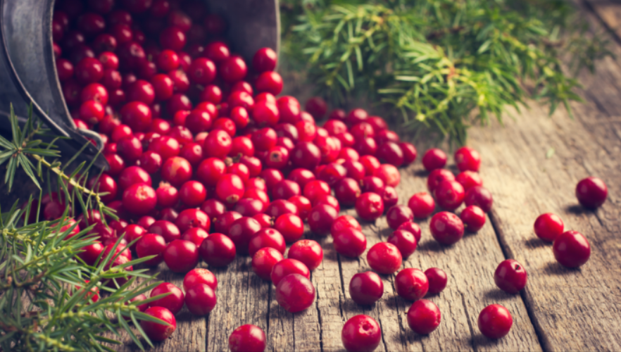 «Эликсир чистоты»: чем клюква полезна для почек, сосудов и иммунитета