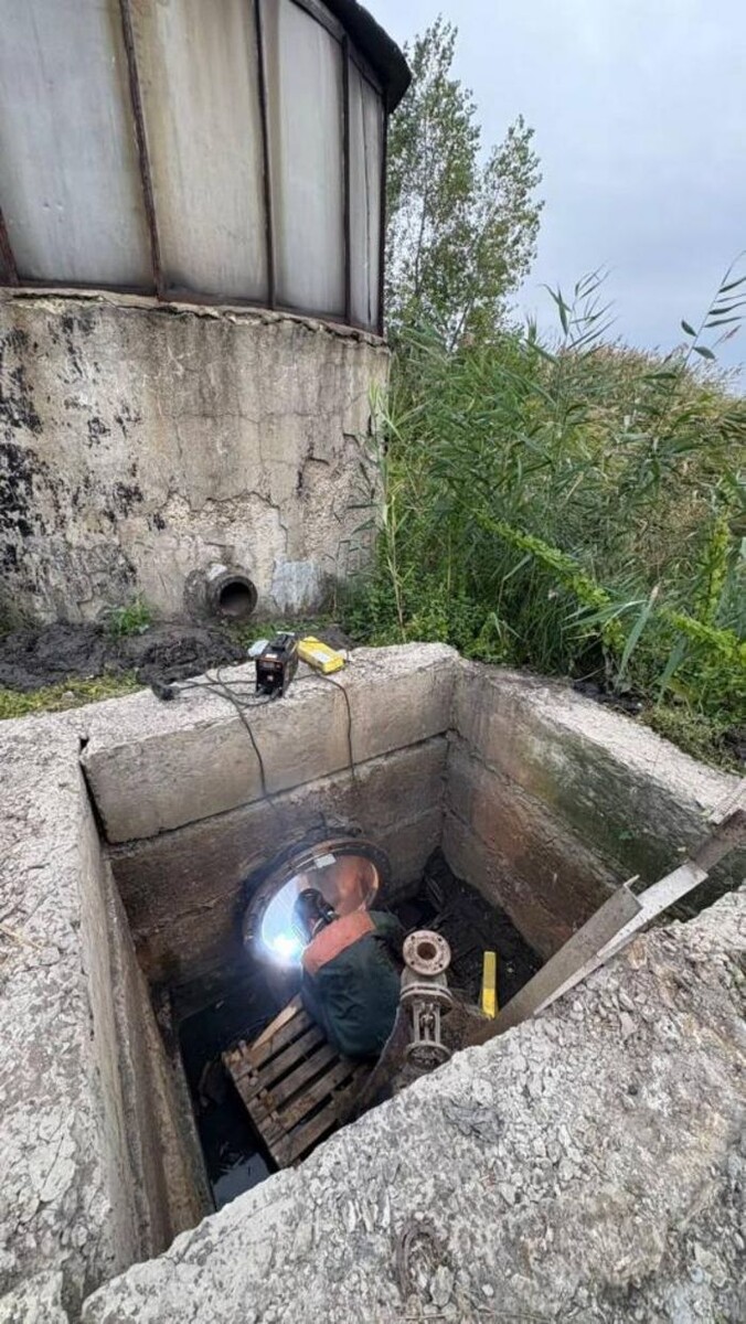 Иллюстрация: Светлана Камбулова / tm.com