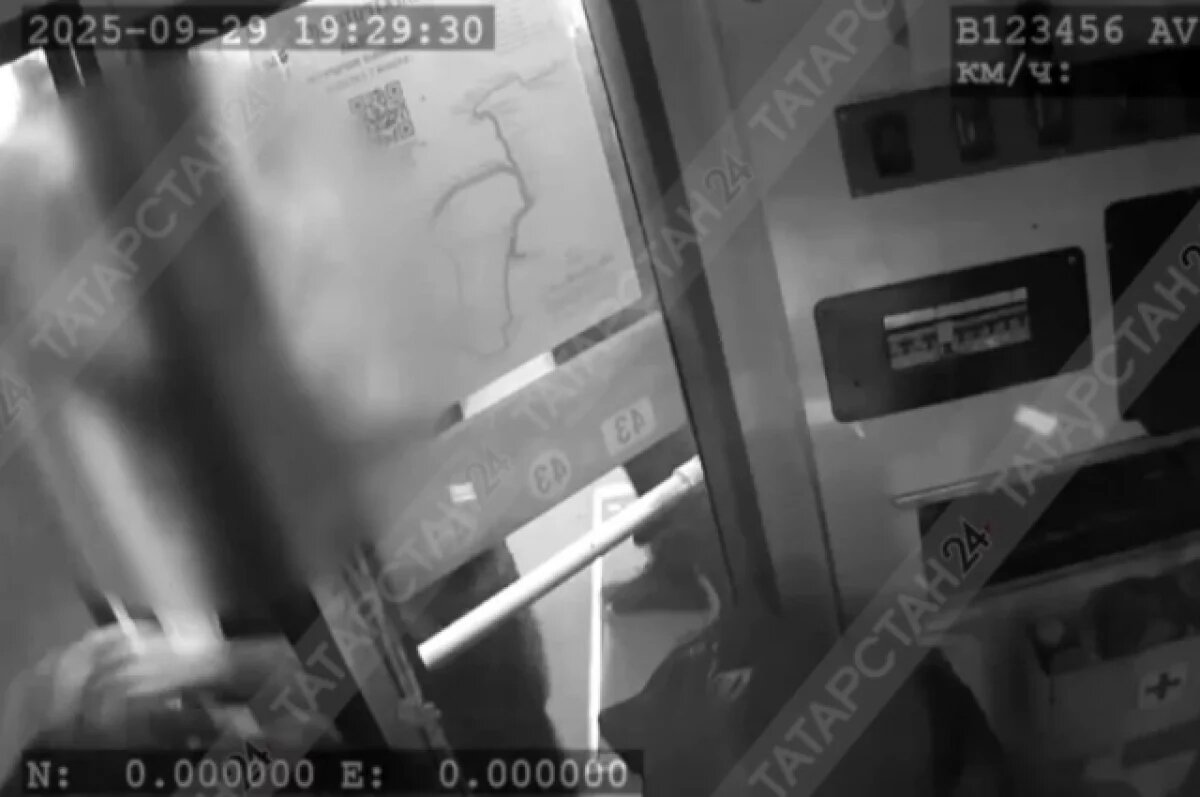    «Получи по башке!»