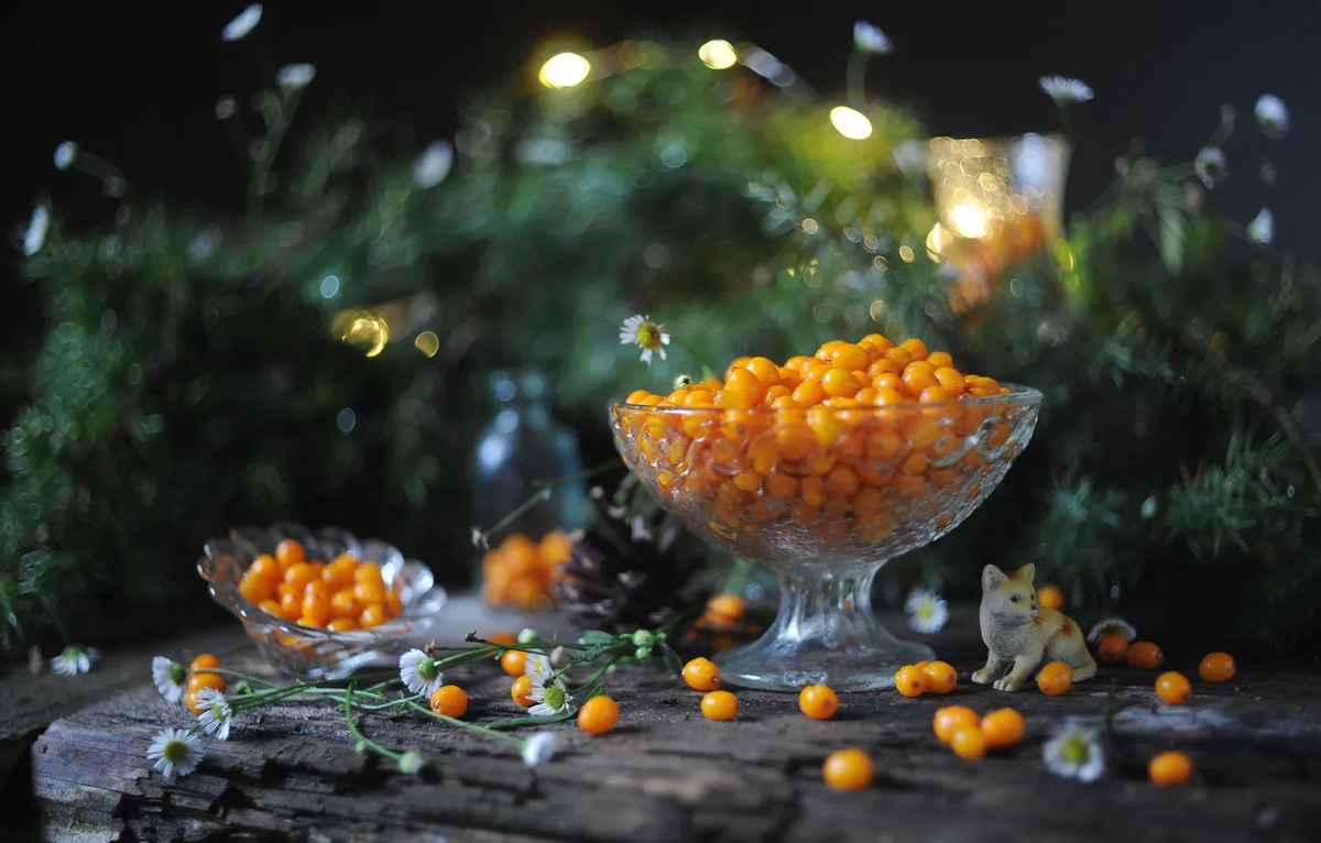 Фото: Jgcv46 / GoodFon.ru