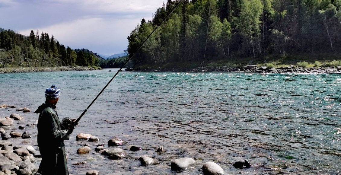    Фото: НИА "Экология"