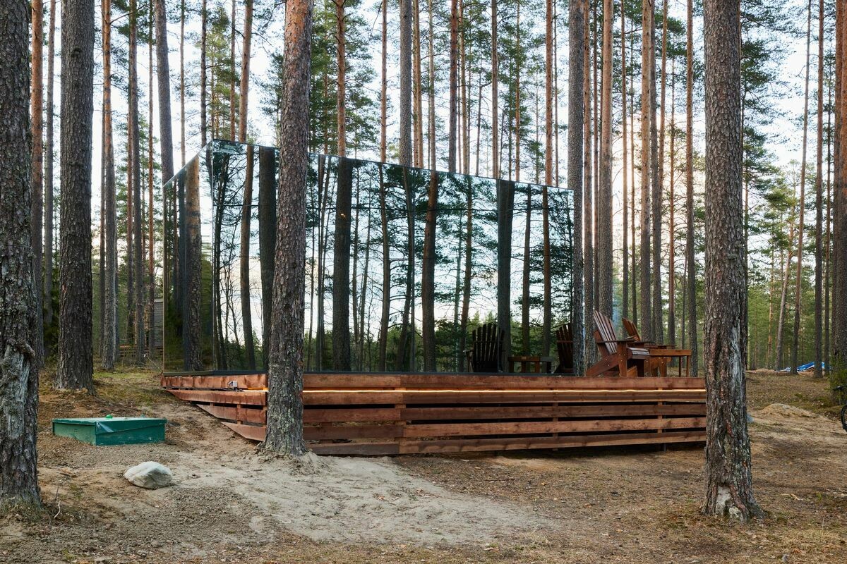 Forest lake, Ленинградская область