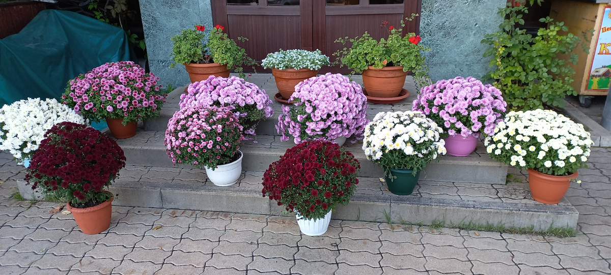 Фото личное