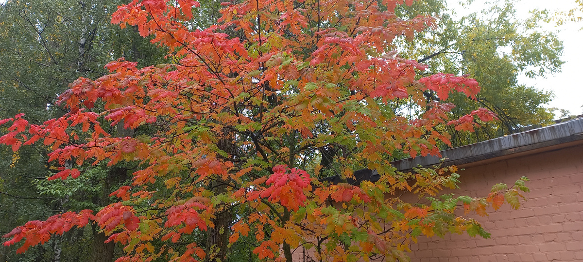 Фото из моего архива