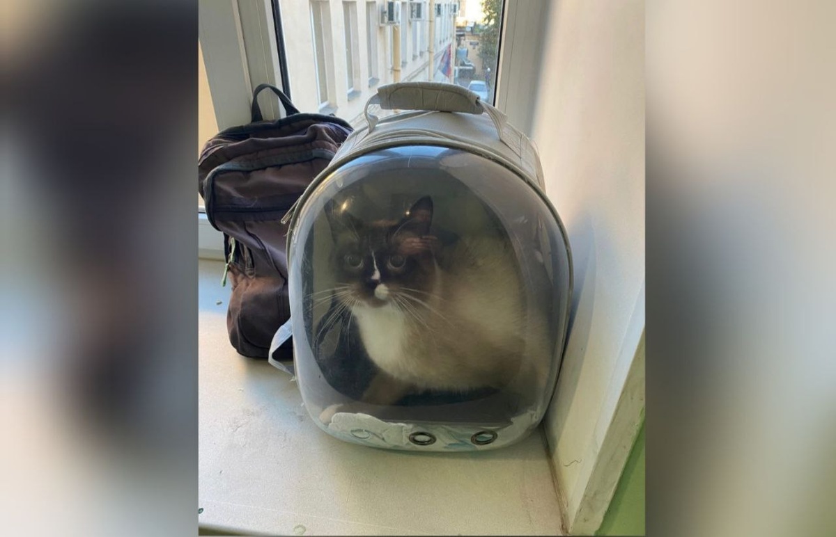 ГУФССП по Петербургу