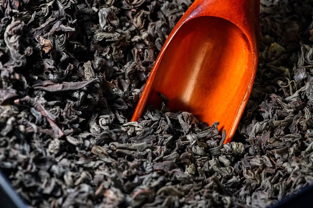     / Источник: © ИЗВЕСТИЯ/Сергей Лантюхов