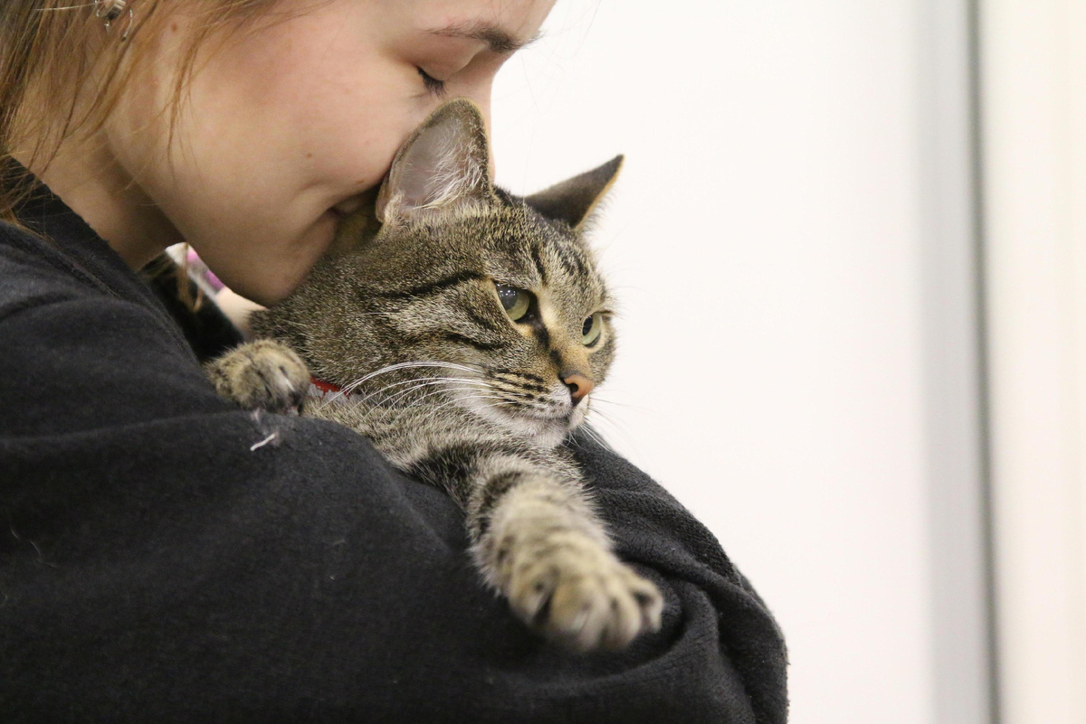 Фото из Интернета. 