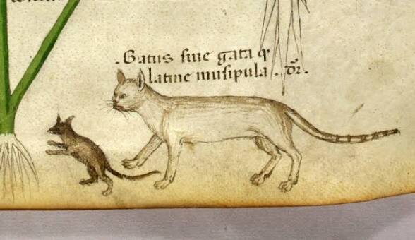 Фото из Интернета. 