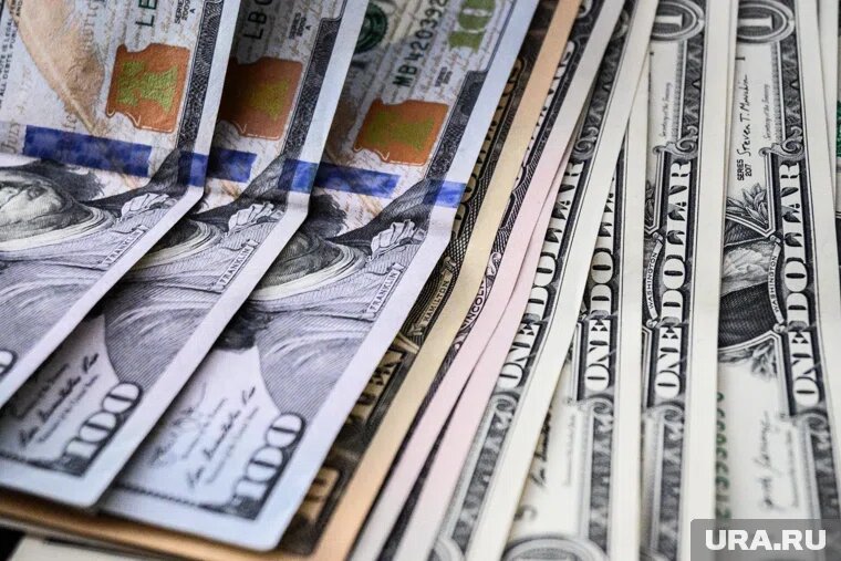 Киев в рамках программы PURL рассчитывает ежемесячно получать миллиард долларов. Фото: Владимир Жабриков © URA.RU