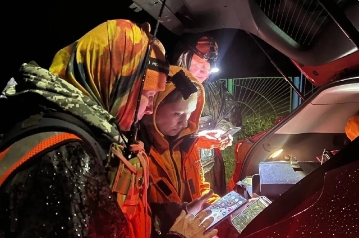    Девочка увидела ориентировку в магазине и помогла спасателям.
