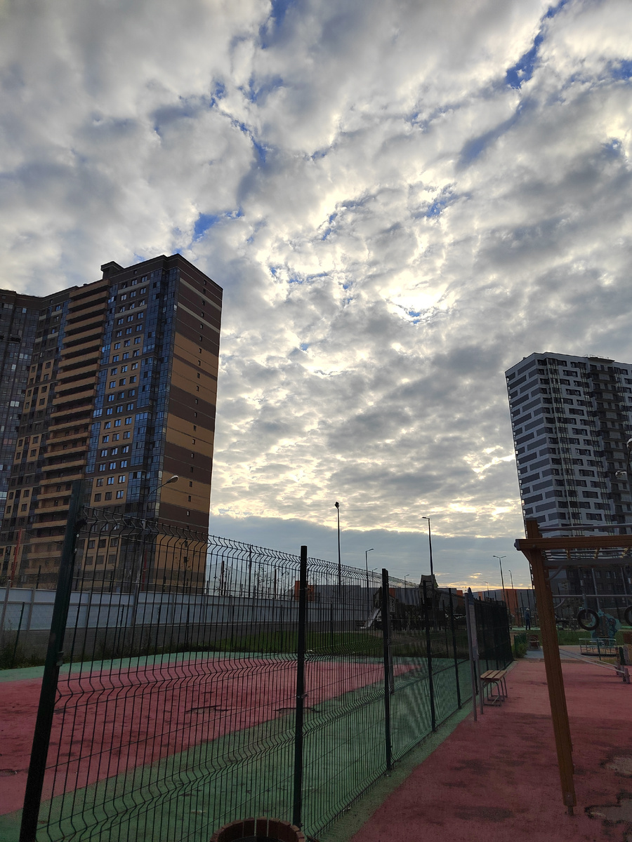 Фотографировать утром успеваю только на обратной дороге. И то не всегда. Ещё одна утренняя традиция: отписываться в чат Ведьмам, как прошли проводы в сад)