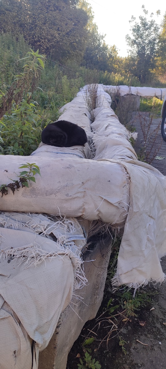 Фото автора. 12 сентября. 