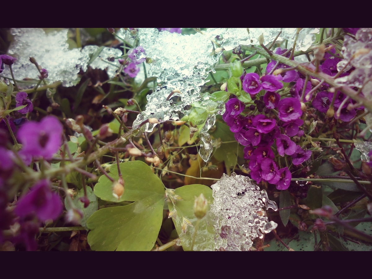 снимала во дворе