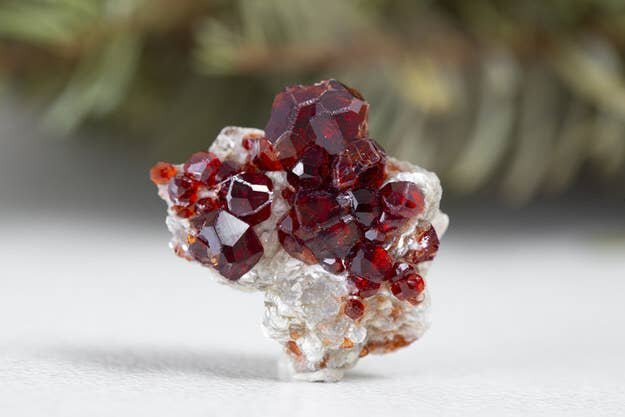 Фото из Интернета.