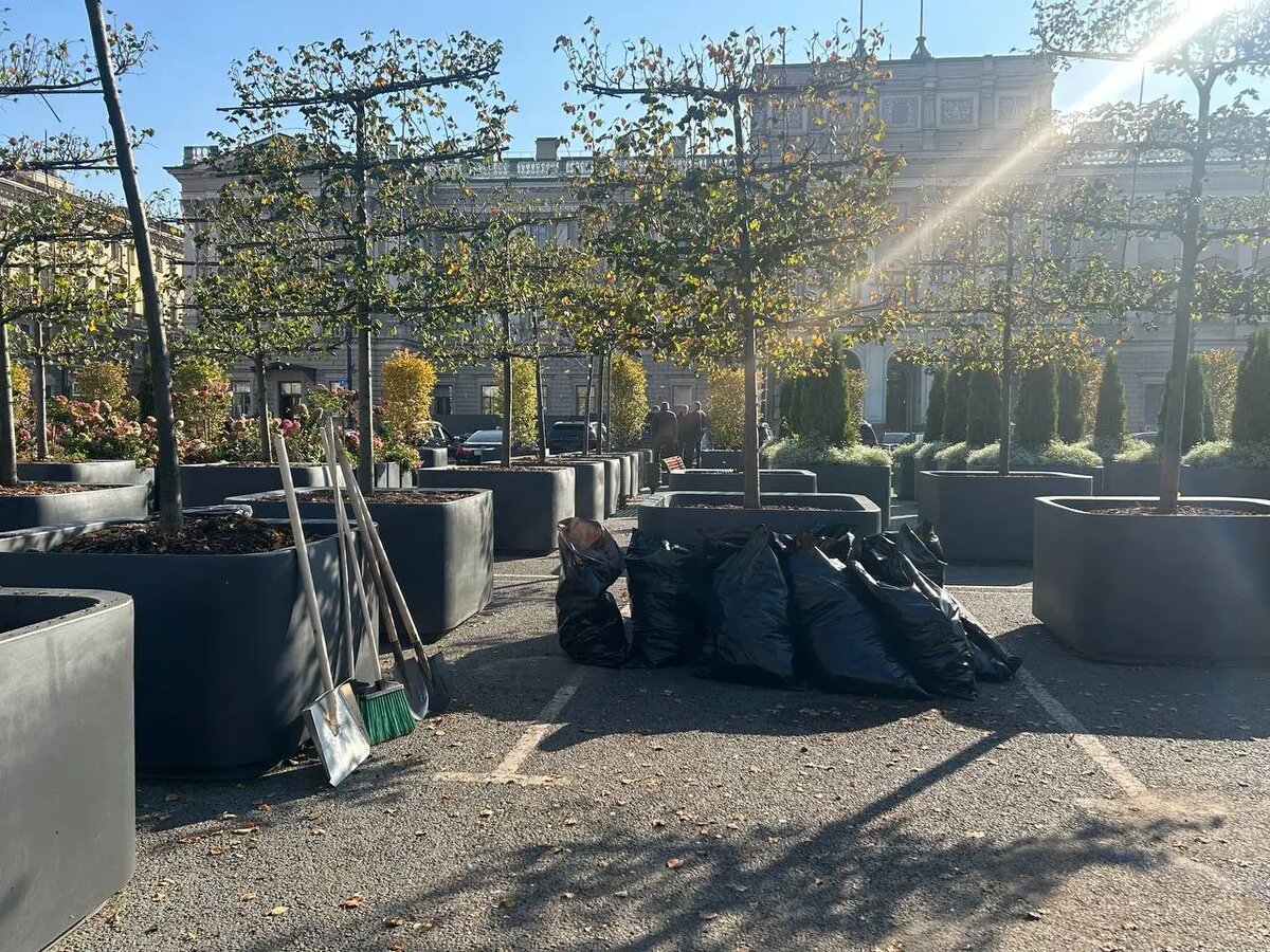    Сад-трансформер 1 октября. Фото: abn.agency