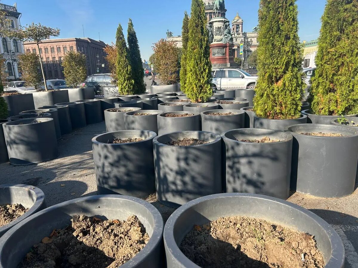    Сад-трансформер 1 октября. Фото: abn.agency