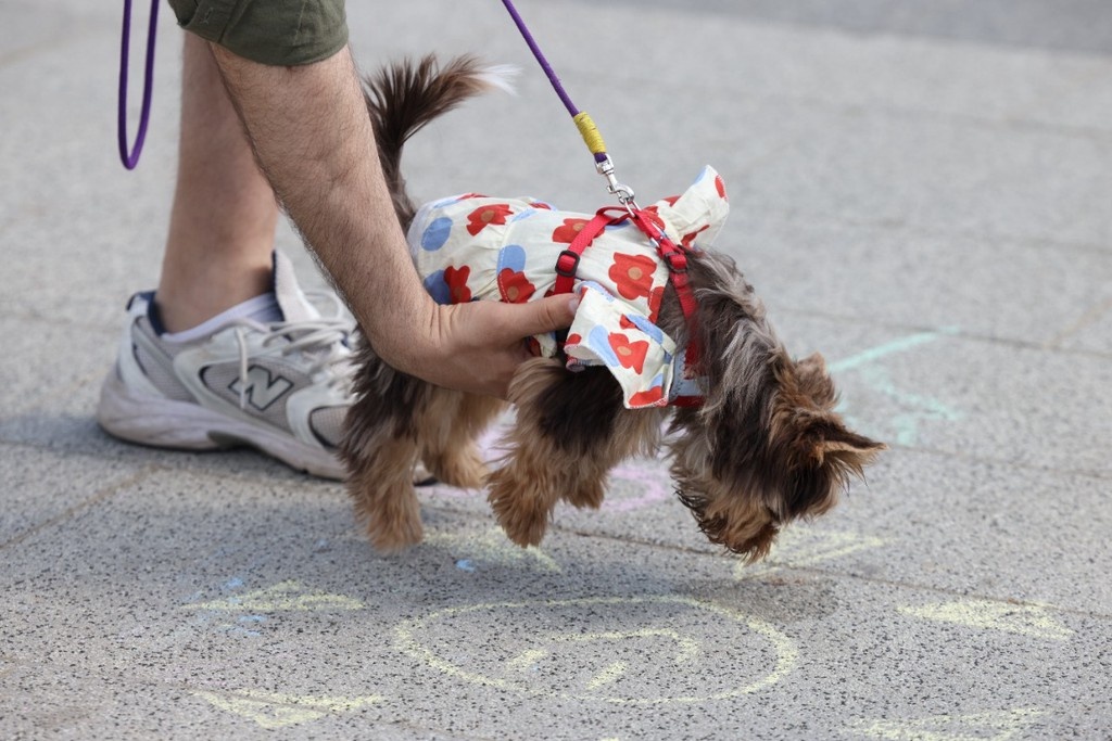   Фото © Анастасия Романова / Абзац