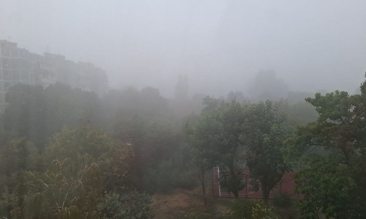    Фото «Кубань 24»