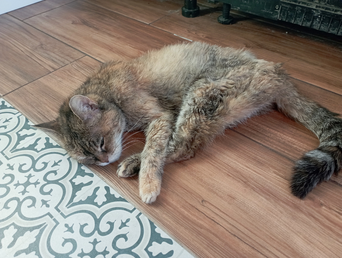 Пол с подогревом. Спит как на печке. 