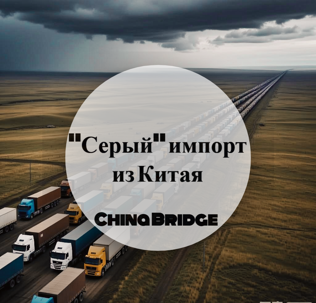 Очередь грузовиков на казахстанско-российской границе. Каждый день простоя в такой пробе обходится импортерам в десятки тысяч рублей.