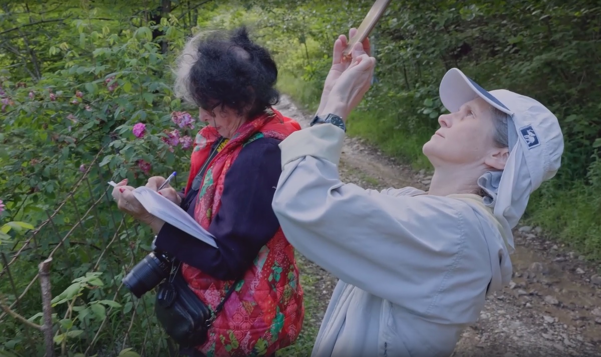 фото: pr scr rutube.ru/Наш Сочи  📷
