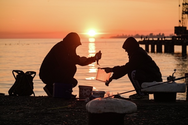 Фото: Алексей Никольский/РИА Новости
