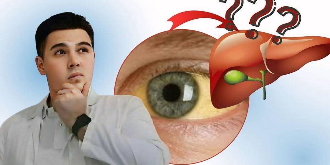 Когда печень сдаётся: 10 тревожных сигналов, которые нельзя игнорировать