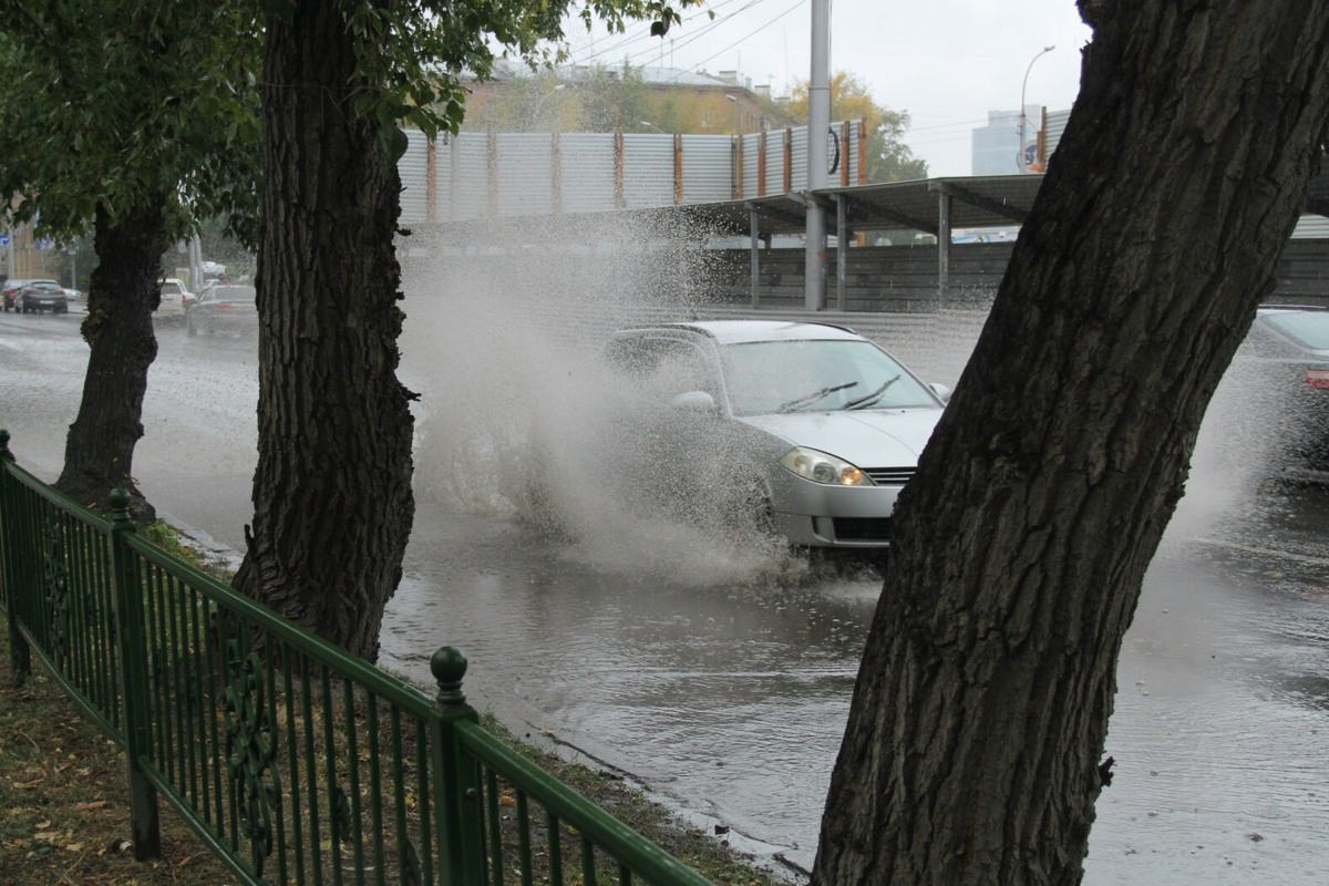    Фото: мэрия НСК