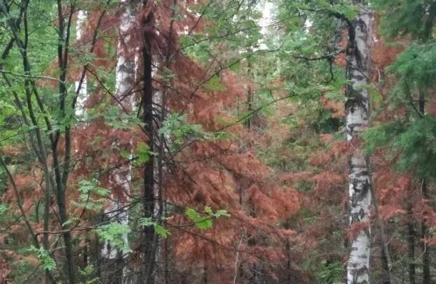 Фото:
пресс-служба Россельхознадзора