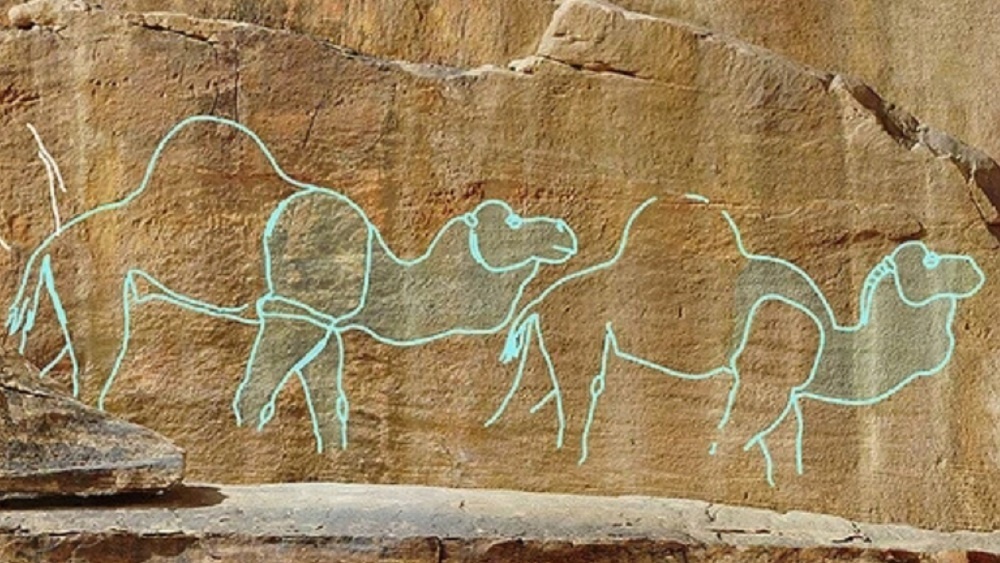     Фото: Maria Guagnin et al., Nature Communications