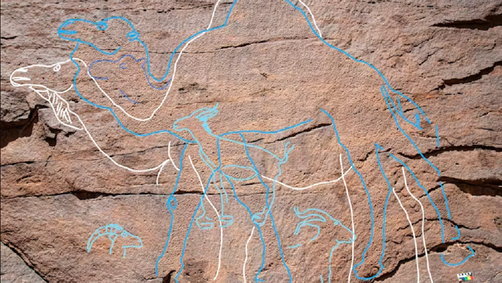     Фото: Sahout Rock Art and Archaeology Project