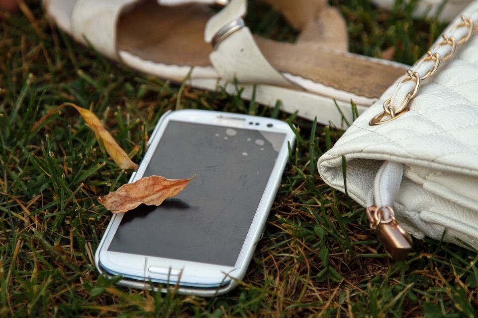    Телефон лежит на траве в парке / Медиасток.рф