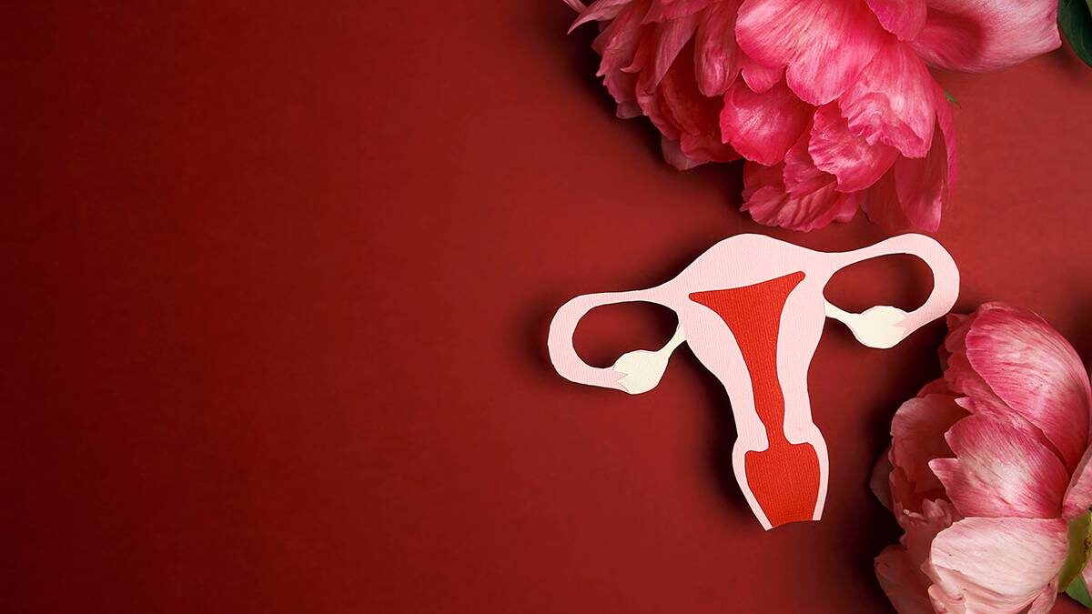    Фото: Shutterstock