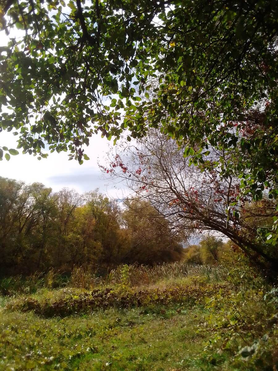 Сказочная осень