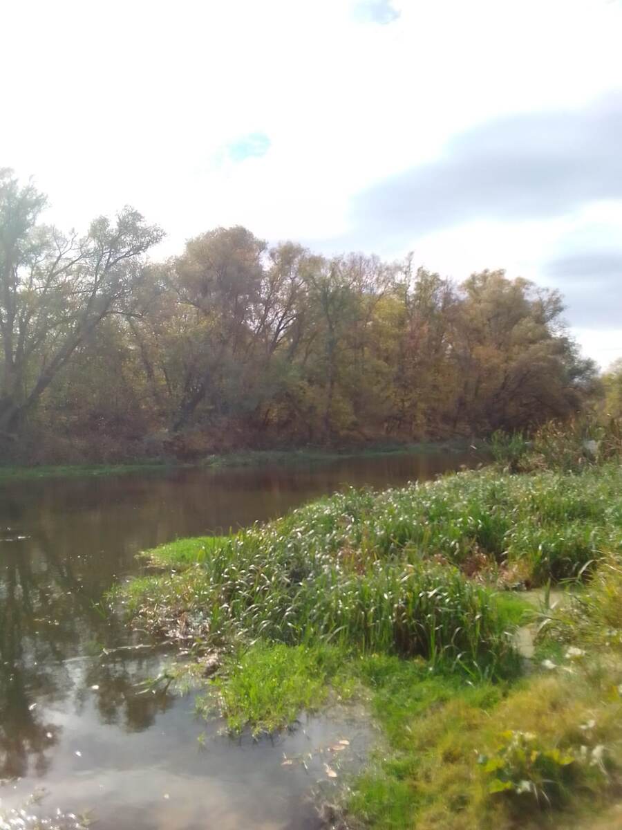 Изгибы реки