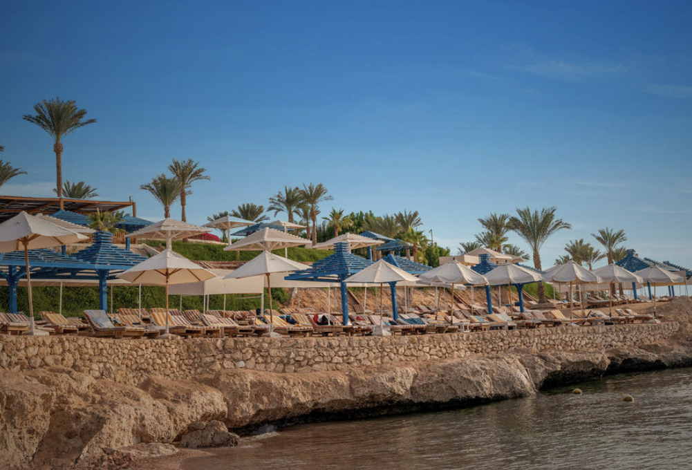 Шаркс Бей 👉