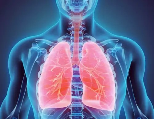 Автор: В, Панченко