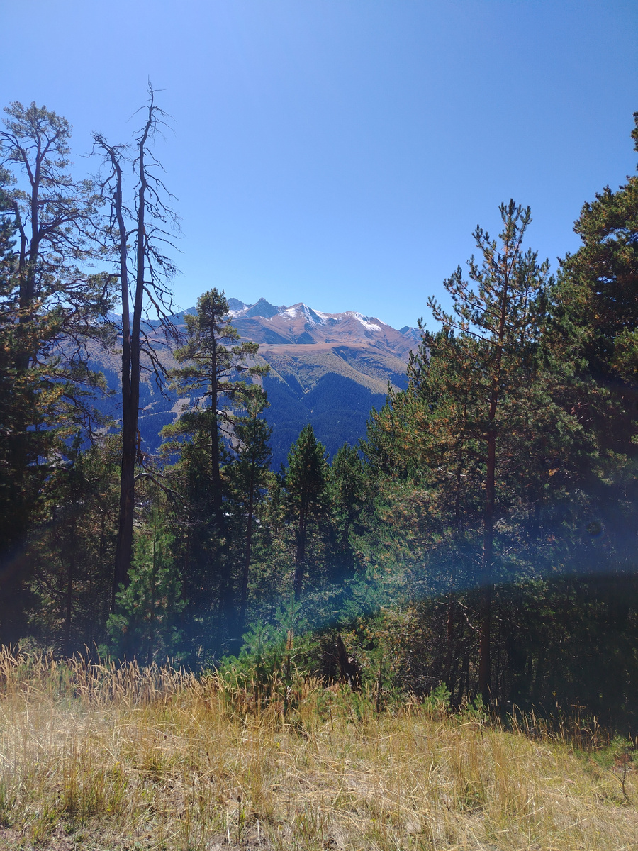 вид с экотропы