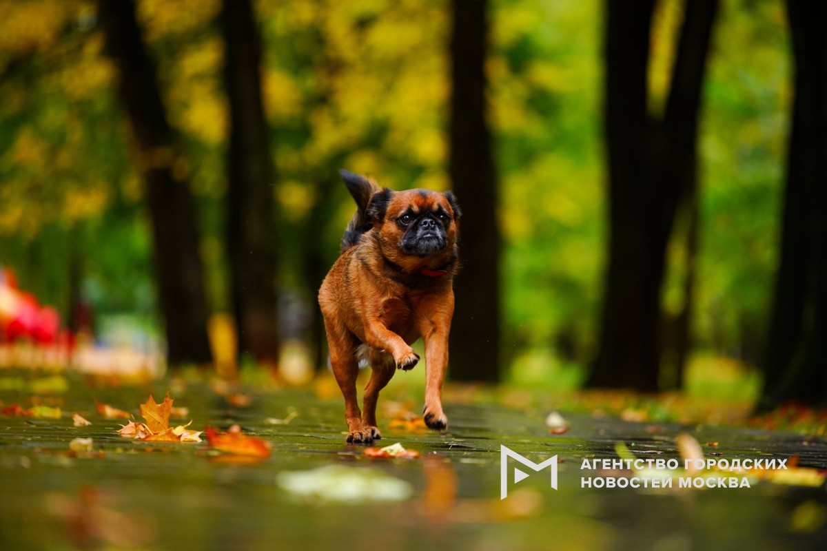 Фотограф: Авилов Александр