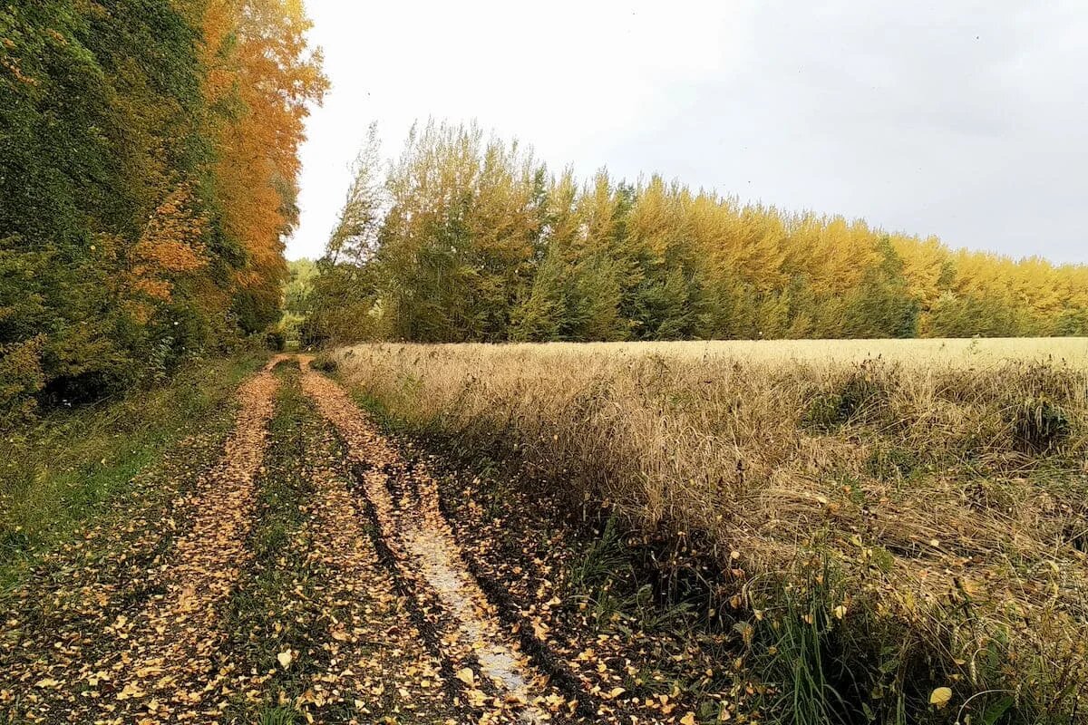 Фото: UfaTime.ru