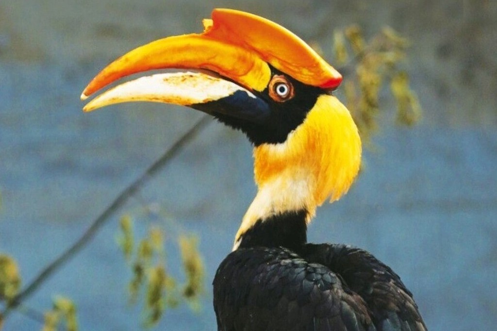    Фото © Пресс-служба Ленинградского зоопарка